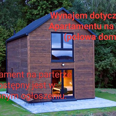 Dzikie Lisko - Apartament Z Klimatyzacja ليزكو المظهر الخارجي الصورة