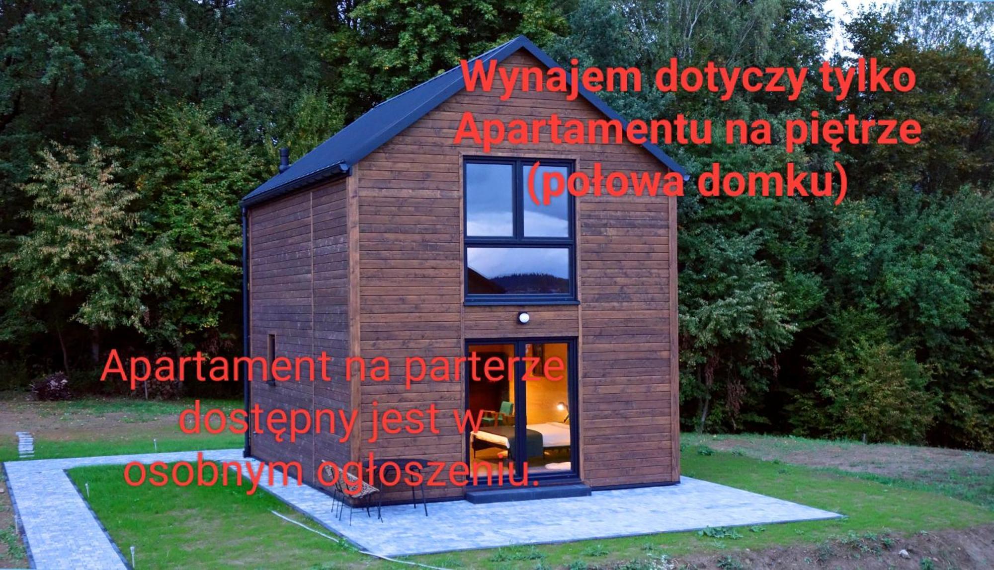 Dzikie Lisko - Apartament Z Klimatyzacja ليزكو المظهر الخارجي الصورة